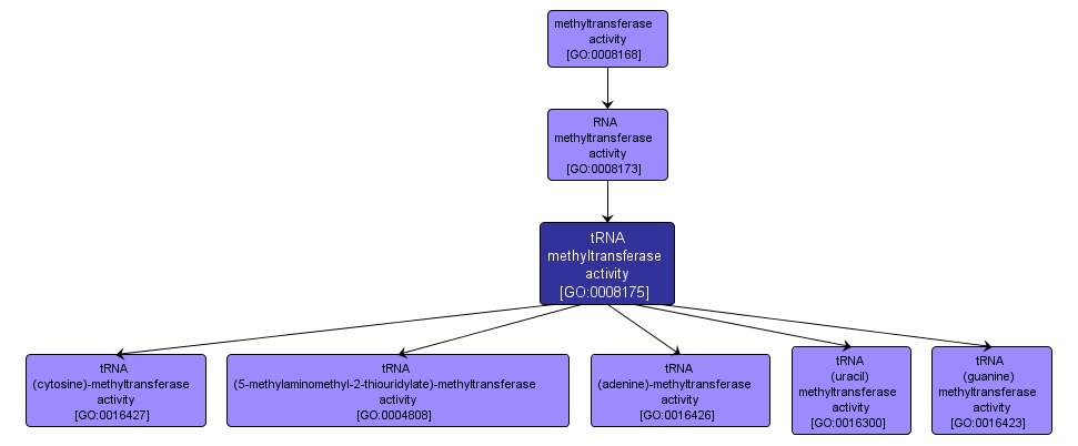 GO:0008175 - tRNA methyltransferase activity (interactive image map)