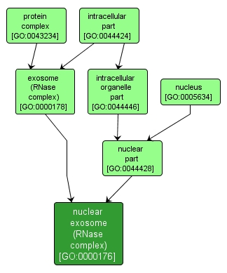 GO:0000176 - nuclear exosome (RNase complex) (interactive image map)