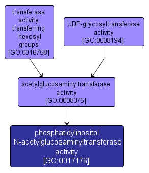 GO:0017176 - phosphatidylinositol N-acetylglucosaminyltransferase activity (interactive image map)