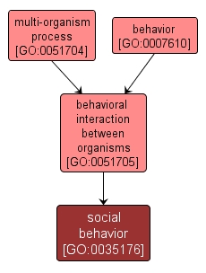 GO:0035176 - social behavior (interactive image map)