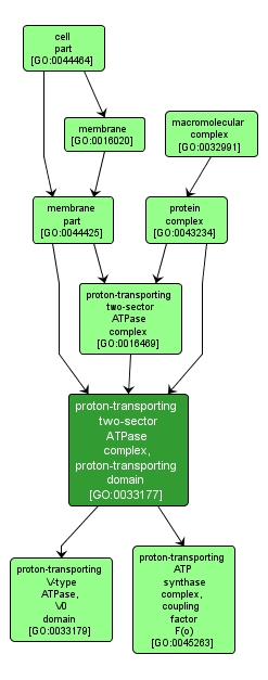 GO:0033177 - proton-transporting two-sector ATPase complex, proton-transporting domain (interactive image map)