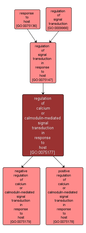 GO:0075177 - regulation of calcium or calmodulin-mediated signal transduction in response to host (interactive image map)