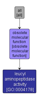 GO:0004178 - leucyl aminopeptidase activity (interactive image map)