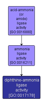 GO:0017178 - diphthine-ammonia ligase activity (interactive image map)