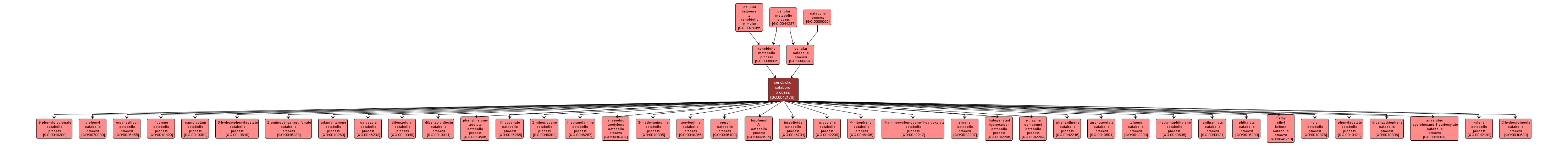 GO:0042178 - xenobiotic catabolic process (interactive image map)