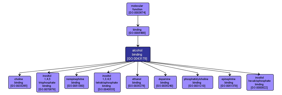 GO:0043178 - alcohol binding (interactive image map)