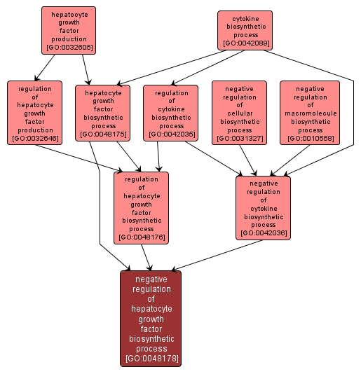 GO:0048178 - negative regulation of hepatocyte growth factor biosynthetic process (interactive image map)