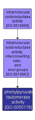 GO:0050178 - phenylpyruvate tautomerase activity (interactive image map)