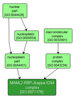 GO:0071178 - MAML2-RBP-Jkappa-ICN4 complex (interactive image map)