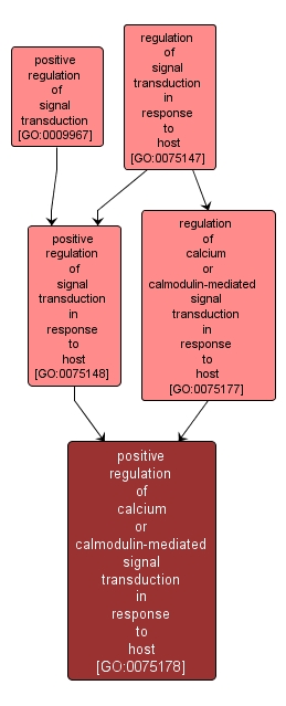 GO:0075178 - positive regulation of calcium or calmodulin-mediated signal transduction in response to host (interactive image map)