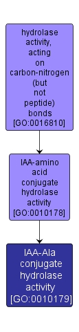 GO:0010179 - IAA-Ala conjugate hydrolase activity (interactive image map)