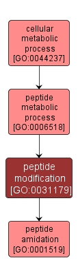 GO:0031179 - peptide modification (interactive image map)