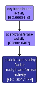 GO:0047179 - platelet-activating factor acetyltransferase activity (interactive image map)