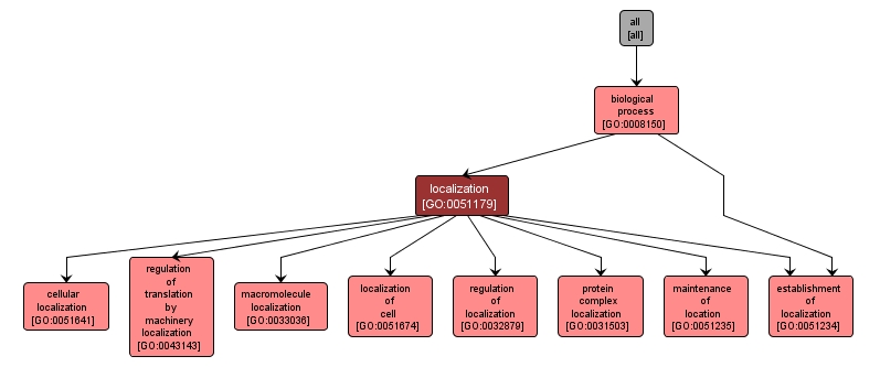 GO:0051179 - localization (interactive image map)