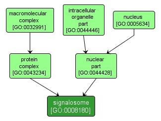 GO:0008180 - signalosome (interactive image map)