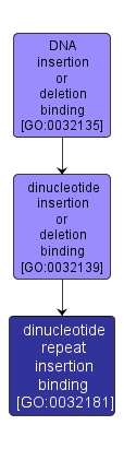GO:0032181 - dinucleotide repeat insertion binding (interactive image map)