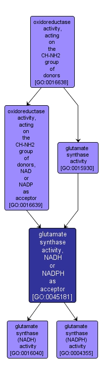GO:0045181 - glutamate synthase activity, NADH or NADPH as acceptor (interactive image map)