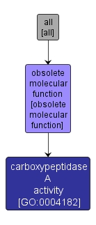 GO:0004182 - carboxypeptidase A activity (interactive image map)