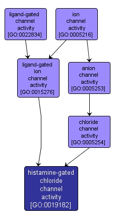 GO:0019182 - histamine-gated chloride channel activity (interactive image map)