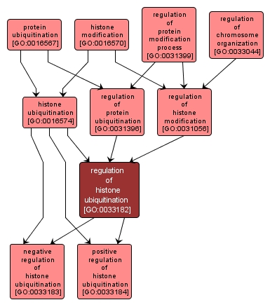 GO:0033182 - regulation of histone ubiquitination (interactive image map)