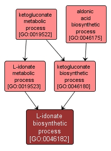 GO:0046182 - L-idonate biosynthetic process (interactive image map)