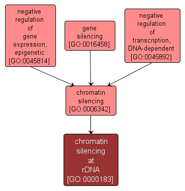 GO:0000183 - chromatin silencing at rDNA (interactive image map)