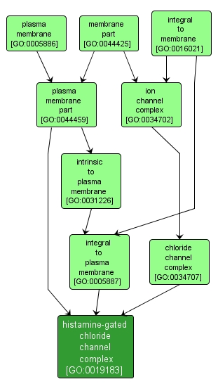 GO:0019183 - histamine-gated chloride channel complex (interactive image map)