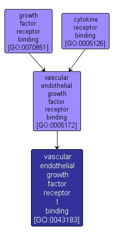 GO:0043183 - vascular endothelial growth factor receptor 1 binding (interactive image map)