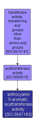 GO:0047183 - anthocyanin 5-aromatic acyltransferase activity (interactive image map)