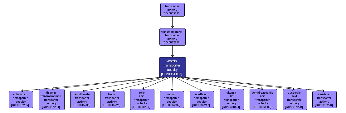 GO:0051183 - vitamin transporter activity (interactive image map)