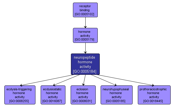 GO:0005184 - neuropeptide hormone activity (interactive image map)