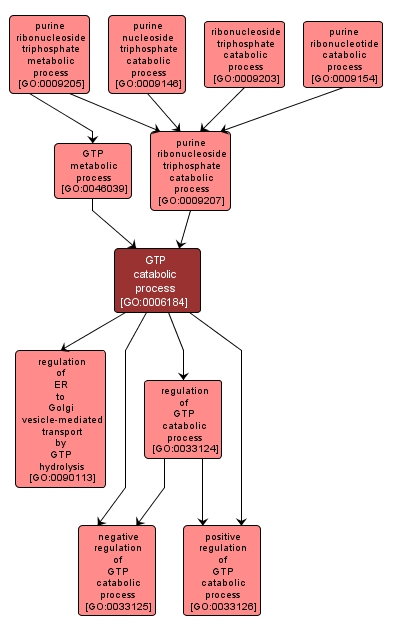 GO:0006184 - GTP catabolic process (interactive image map)