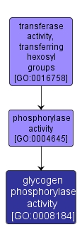 GO:0008184 - glycogen phosphorylase activity (interactive image map)