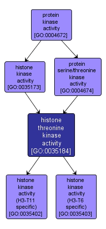 GO:0035184 - histone threonine kinase activity (interactive image map)