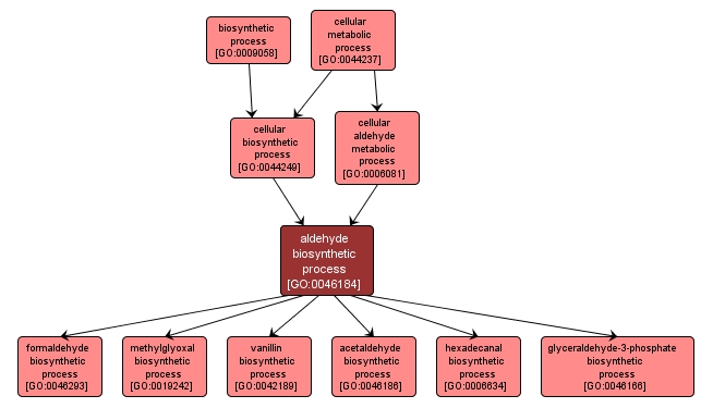 GO:0046184 - aldehyde biosynthetic process (interactive image map)