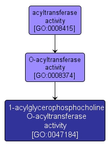 GO:0047184 - 1-acylglycerophosphocholine O-acyltransferase activity (interactive image map)