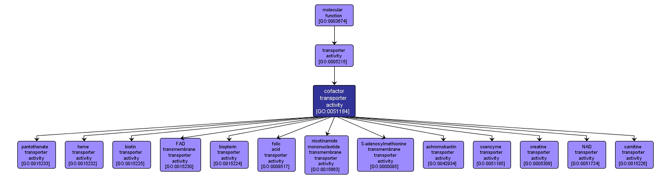 GO:0051184 - cofactor transporter activity (interactive image map)