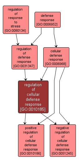 GO:0010185 - regulation of cellular defense response (interactive image map)