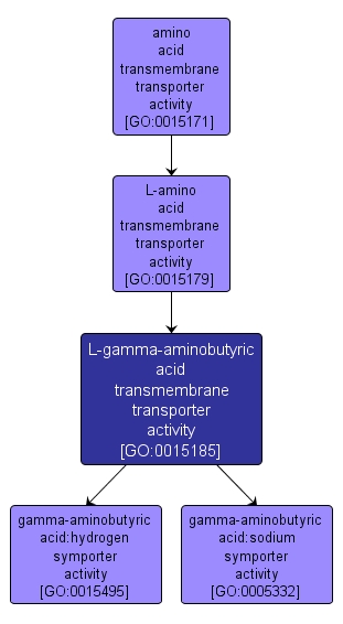 GO:0015185 - L-gamma-aminobutyric acid transmembrane transporter activity (interactive image map)