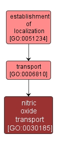 GO:0030185 - nitric oxide transport (interactive image map)