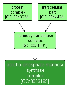 GO:0033185 - dolichol-phosphate-mannose synthase complex (interactive image map)