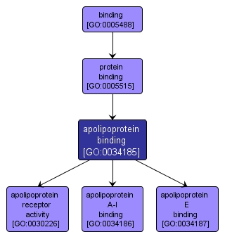 GO:0034185 - apolipoprotein binding (interactive image map)
