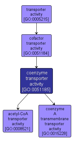 GO:0051185 - coenzyme transporter activity (interactive image map)