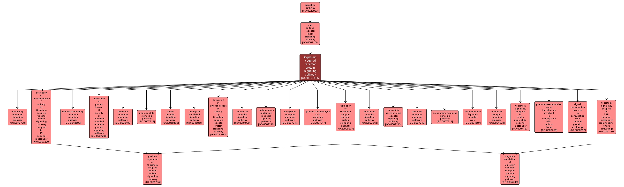 GO:0007186 - G-protein coupled receptor protein signaling pathway (interactive image map)