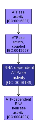 GO:0008186 - RNA-dependent ATPase activity (interactive image map)