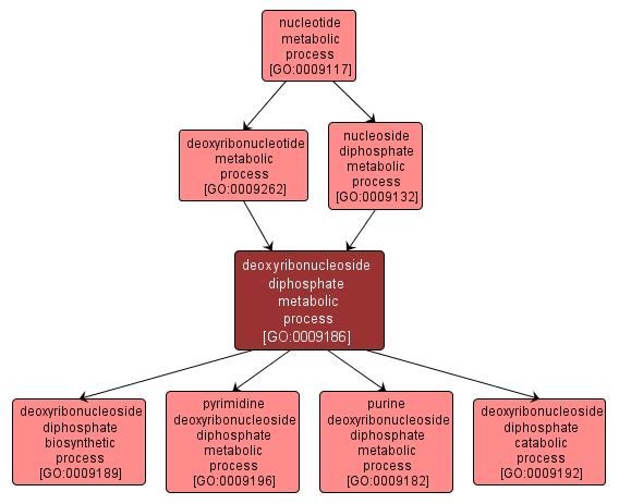 GO:0009186 - deoxyribonucleoside diphosphate metabolic process (interactive image map)