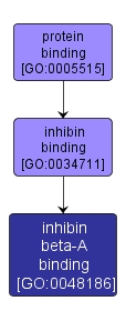 GO:0048186 - inhibin beta-A binding (interactive image map)