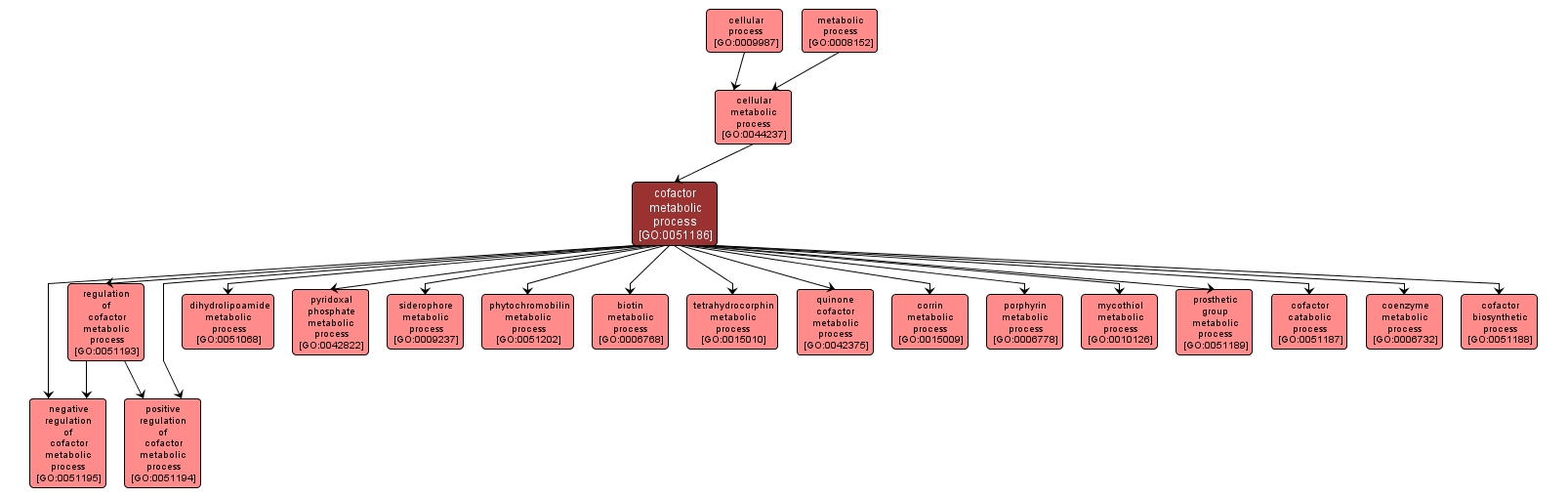 GO:0051186 - cofactor metabolic process (interactive image map)