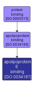 GO:0034187 - apolipoprotein E binding (interactive image map)