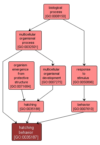 GO:0035187 - hatching behavior (interactive image map)